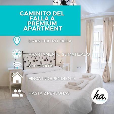 Caminito Del Falla A Ha Apartment Cádiz Kültér fotó